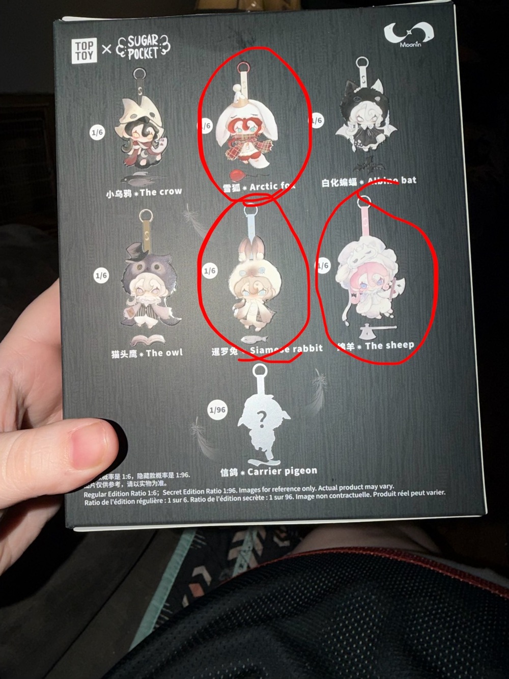 Moonin Confirmed Characters